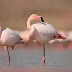 Bird's 別荘