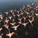 Bird's 別荘