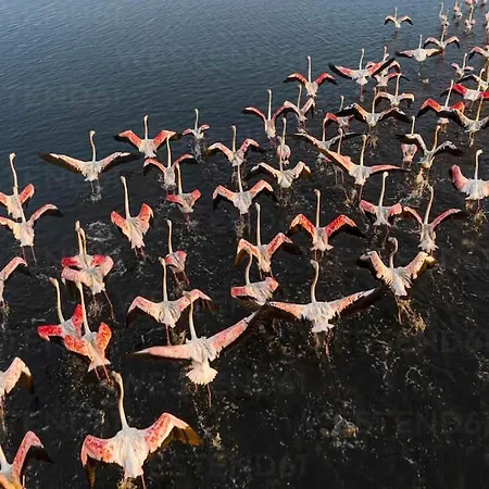 Hébergement de vacances Bird's *