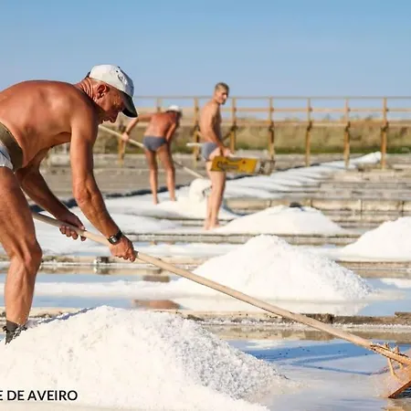 Bird's Casa de Férias