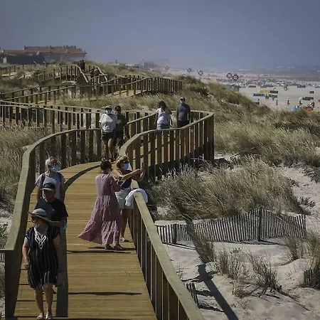 Bird's Aveiro