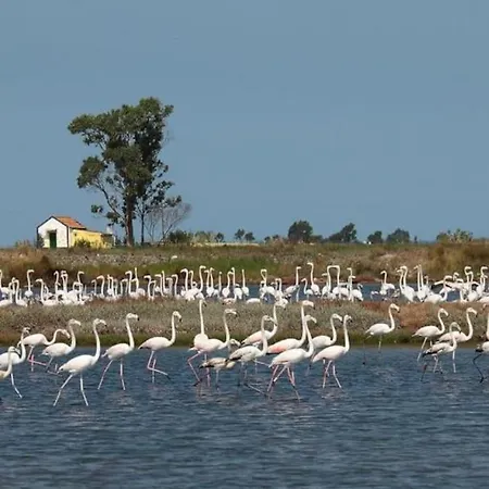 Bird's Casa de Férias