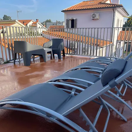 Bird's אבאירו