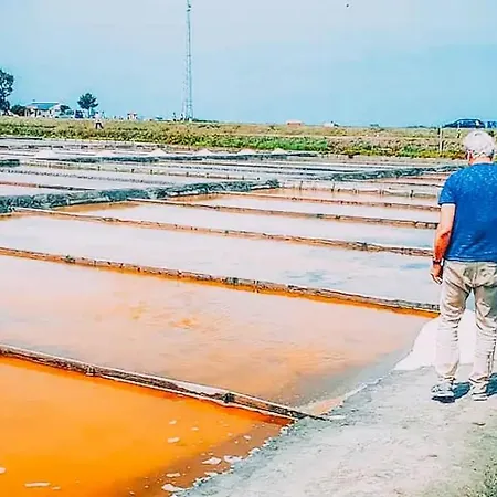 Bird's Casa de Férias Aveiro
