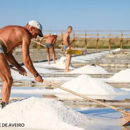 Bird's Casa de Férias