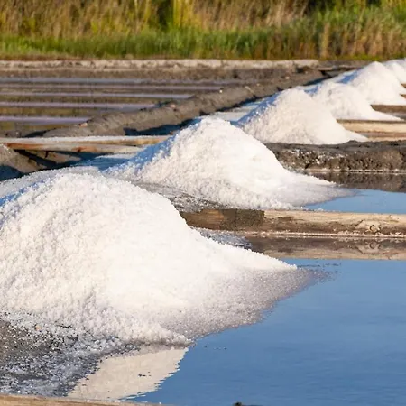 Casa de Férias Bird's Aveiro
