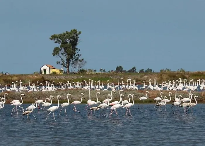 Casa vacanze Bird's *